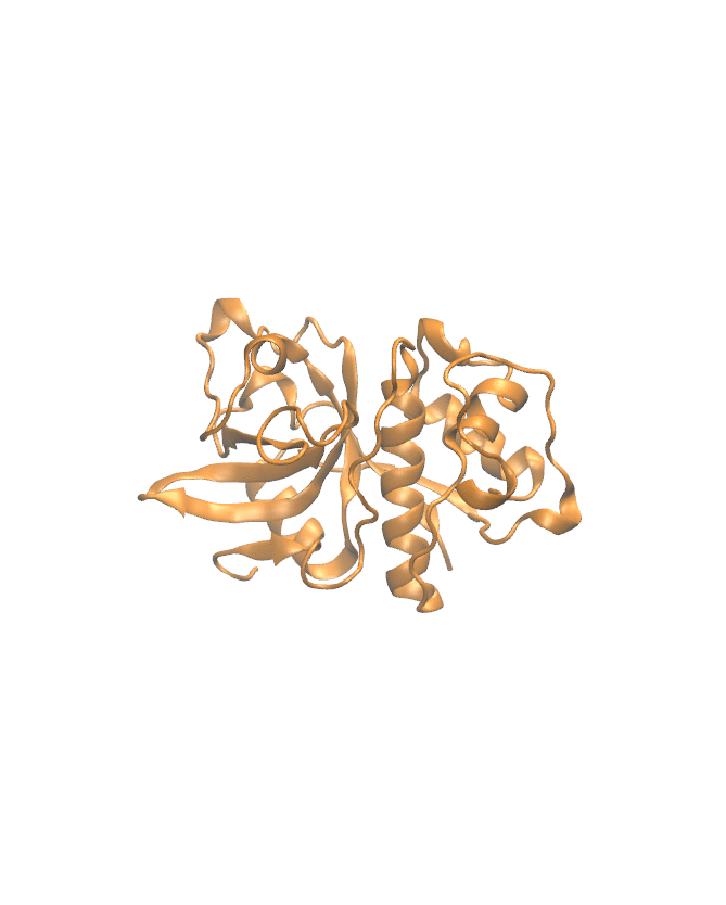 Protein Backbone Structure