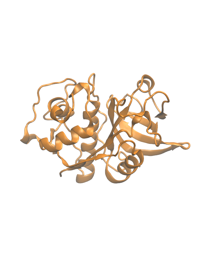 Protein Backbone Structure
