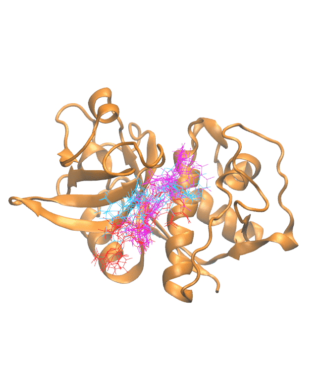 Clustering Results for CATH004