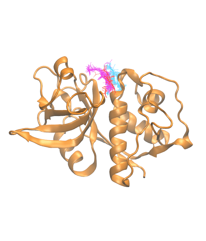 Clustering Results for CATH102