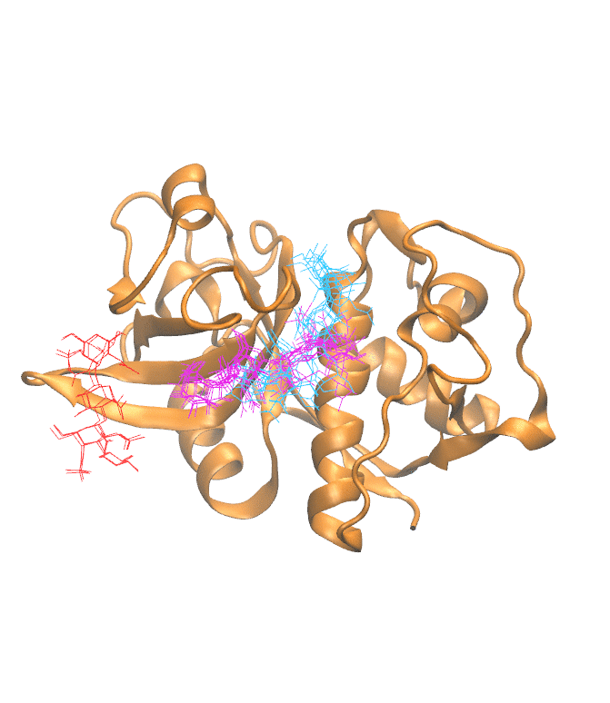 Clustering Results for CATH204