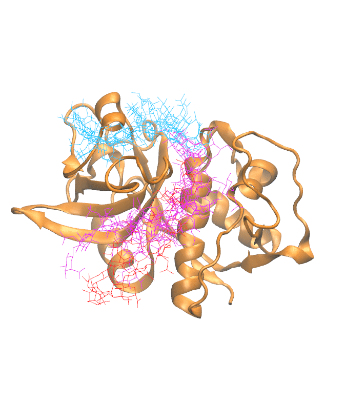 Clustering Results for CATH206