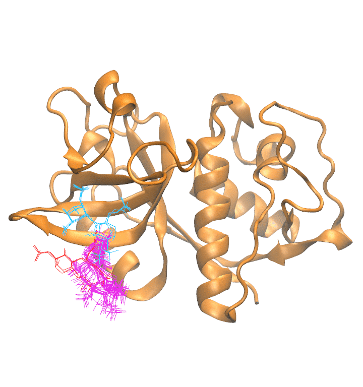 Clustering Results for CATH402