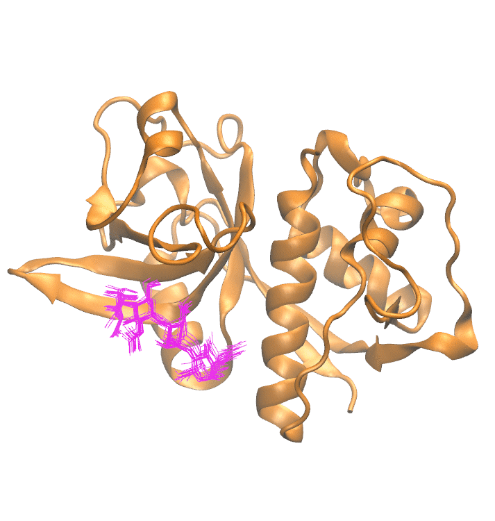 Clustering Results for CATH504