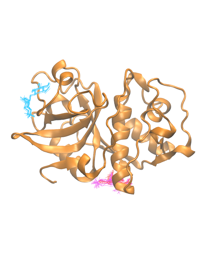 Clustering Results for CATK102