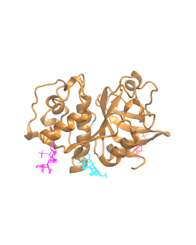 Clustering Results for CATK202