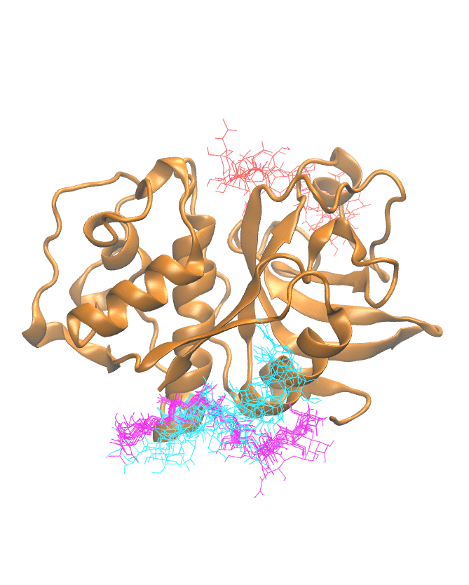 Clustering Results for CATK506