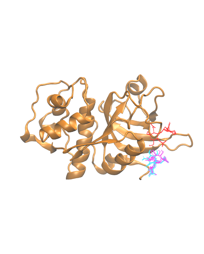Clustering Results for CATL202
