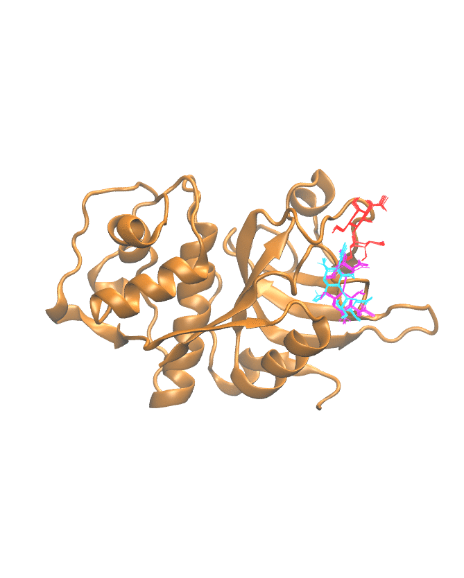 Clustering Results for CATL502