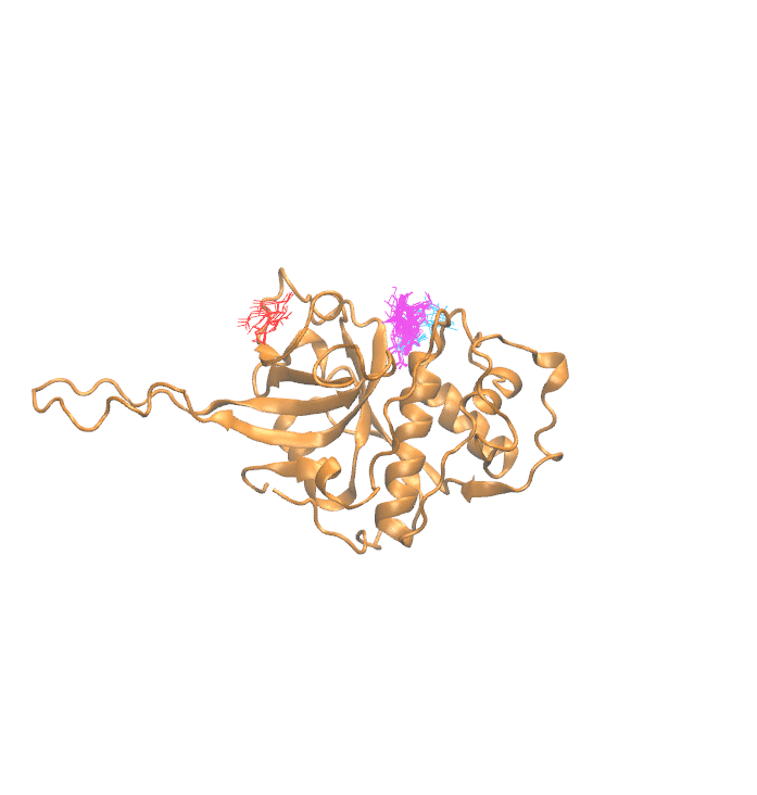Clustering Results for CATW302
