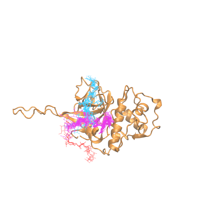 Clustering Results for CATW506