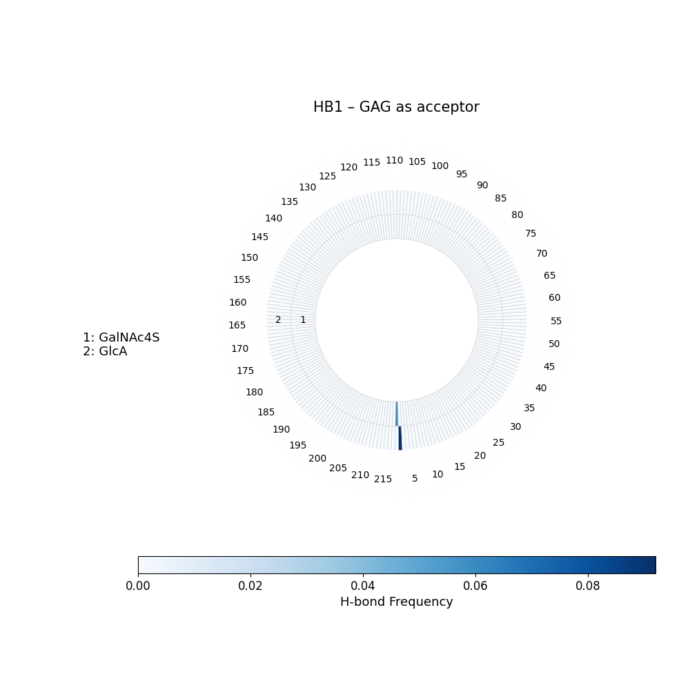 H-Bonds GAG as Donor Plot