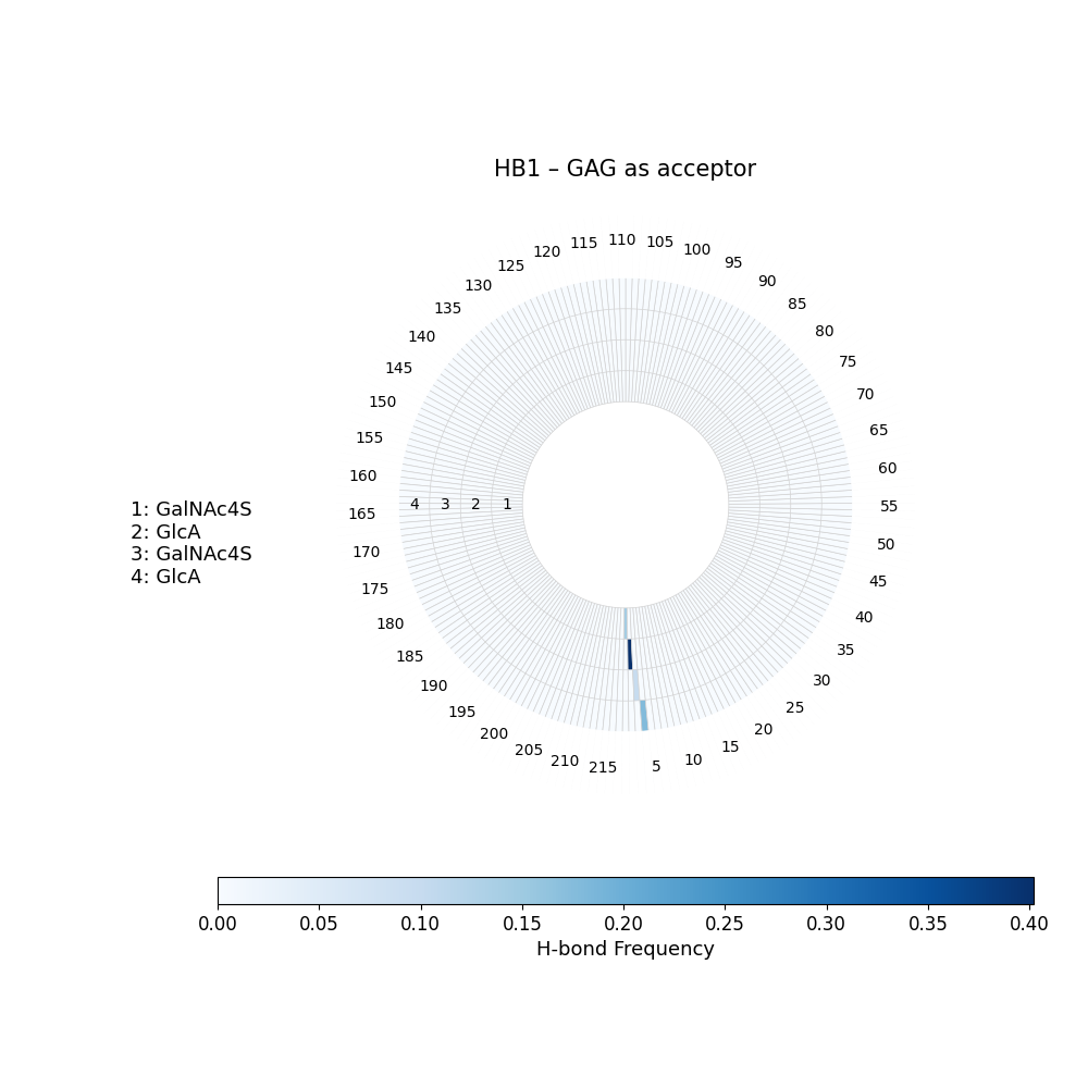 H-Bonds GAG as Donor Plot