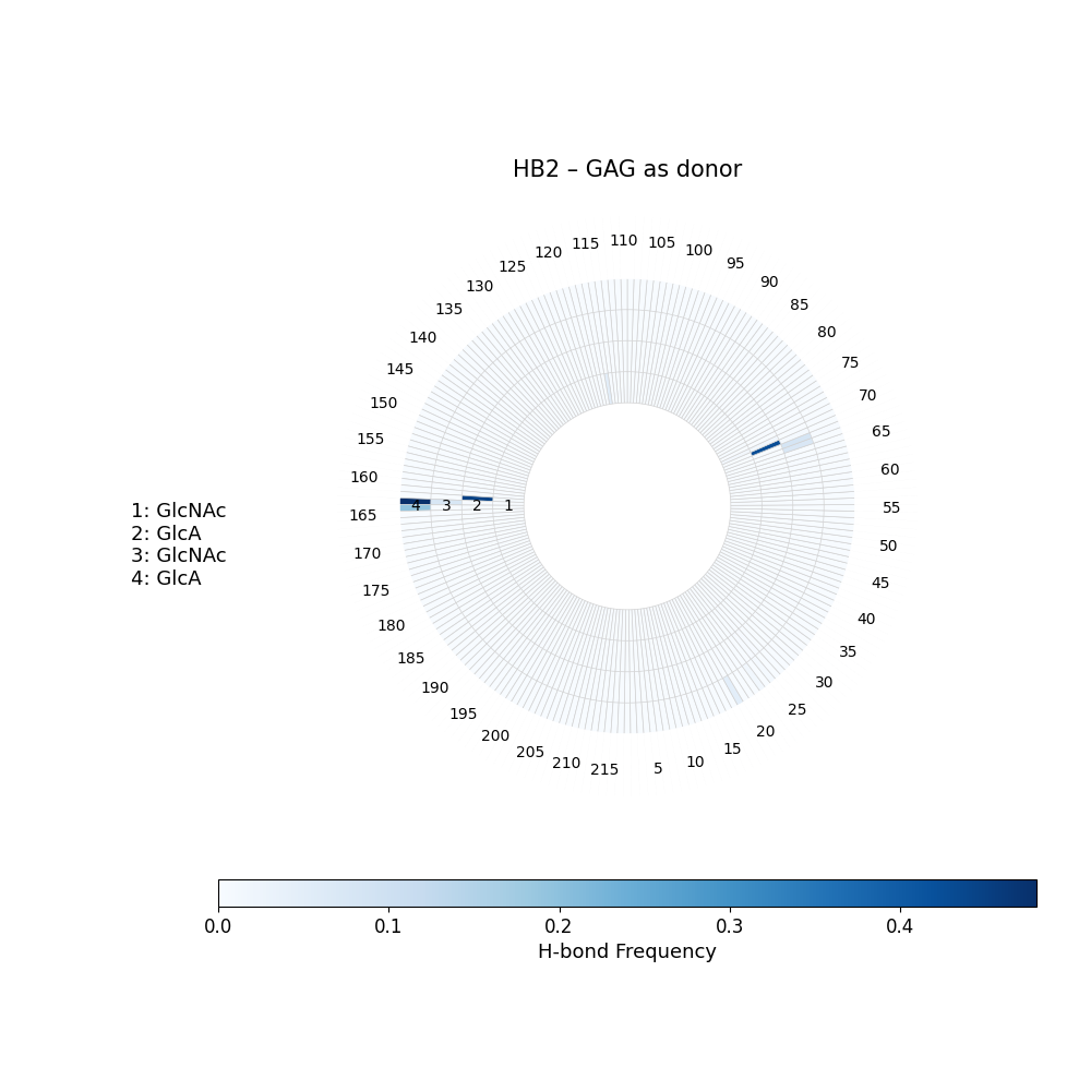 H-Bonds GAG as Acceptor Plot